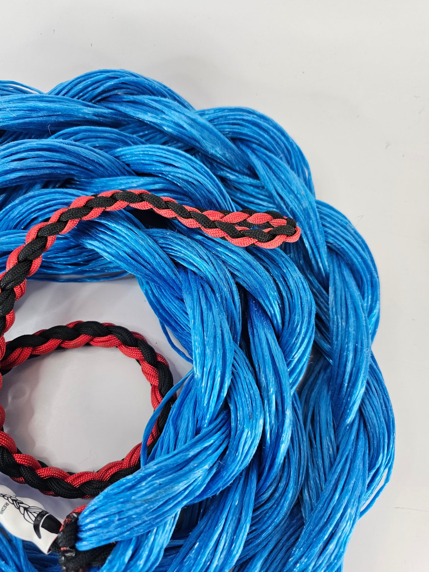 Night Shot – Custom Bronc Rein